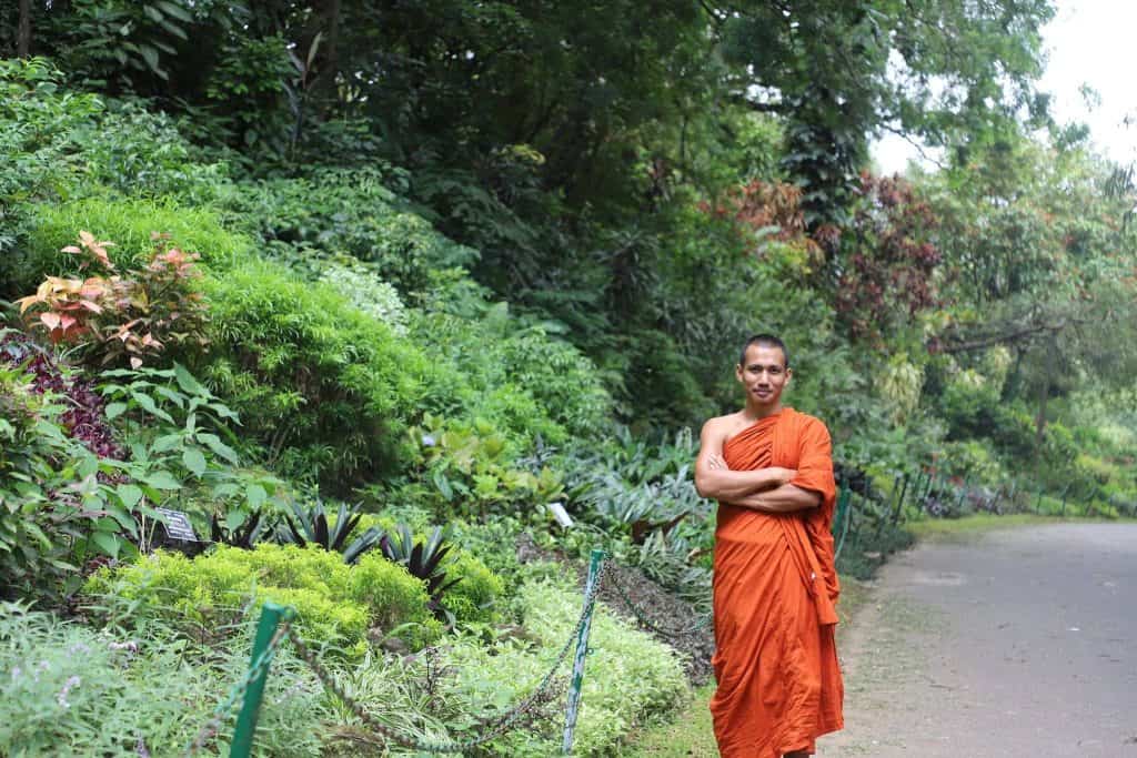 Visit the Botanical Garden in Kandy
