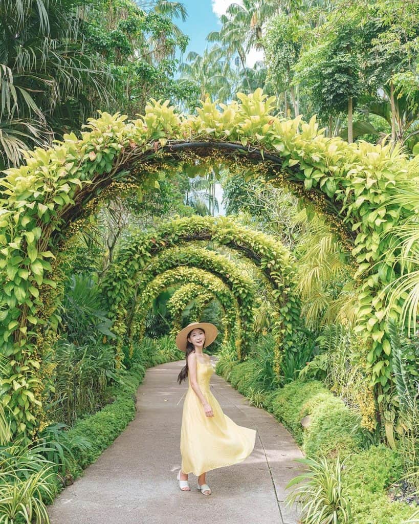 Singapore Botanic Gardens