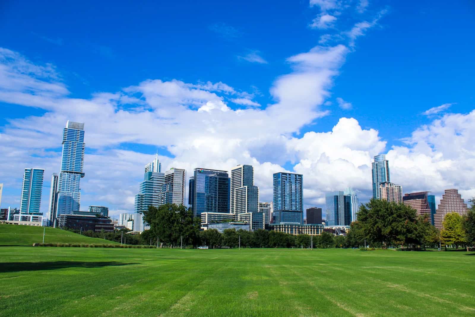 a grassy field in front of a city skyline