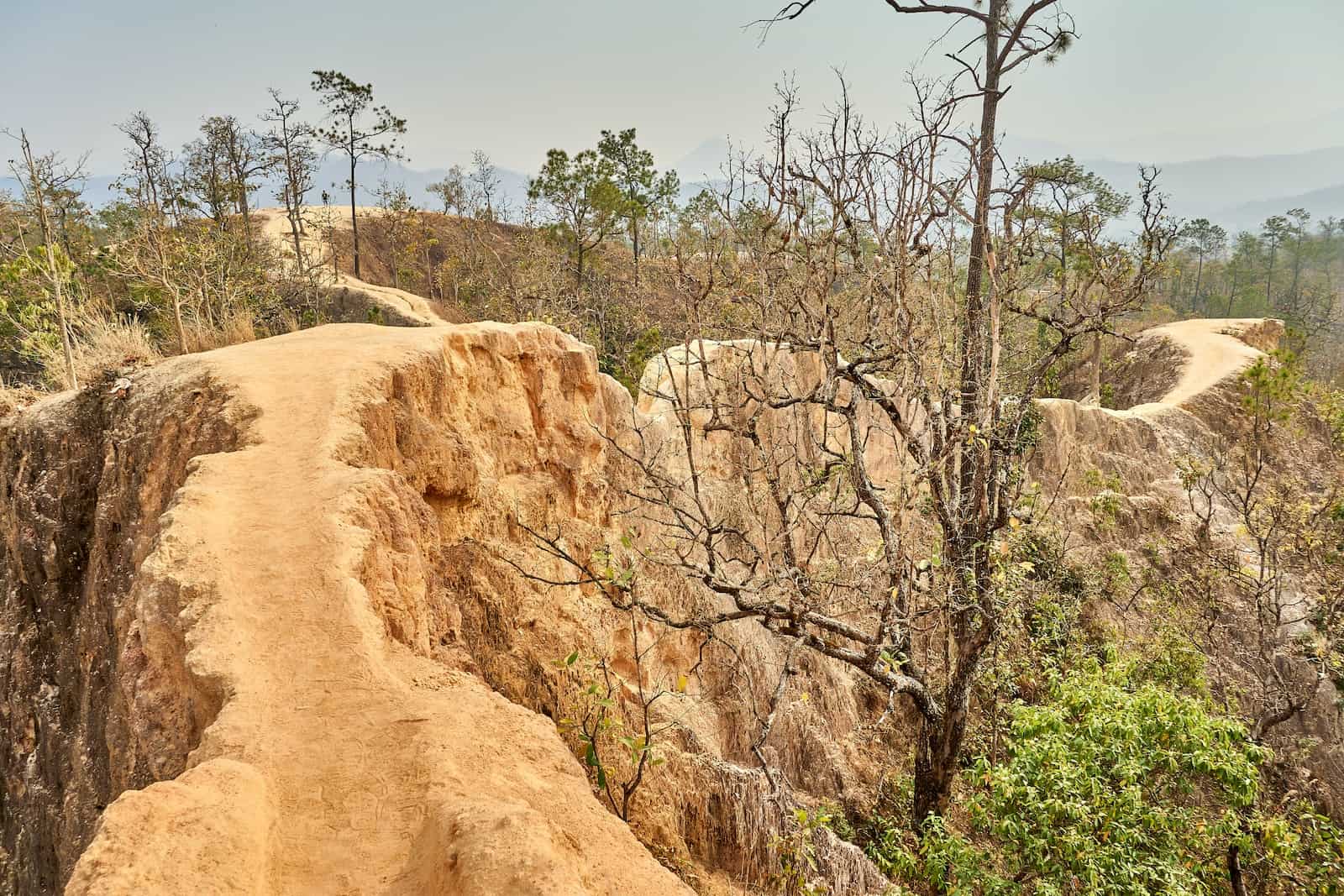 Pai, Thailand  The Perfect Day Trip from Chiang Mai 