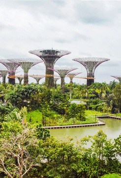 Gardens By The Bay