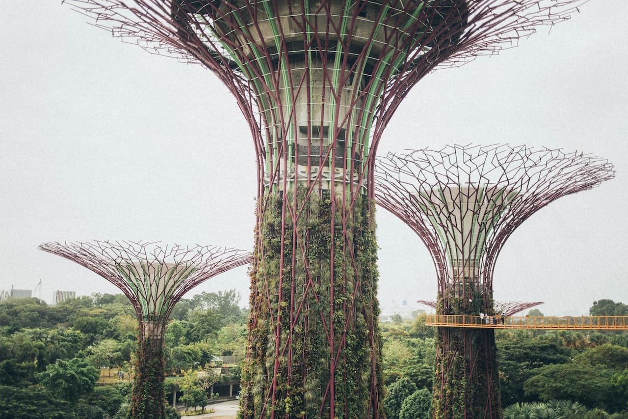 Tree-like sturcture covered with green grass all over its body at Gardens by the bay in Singapore