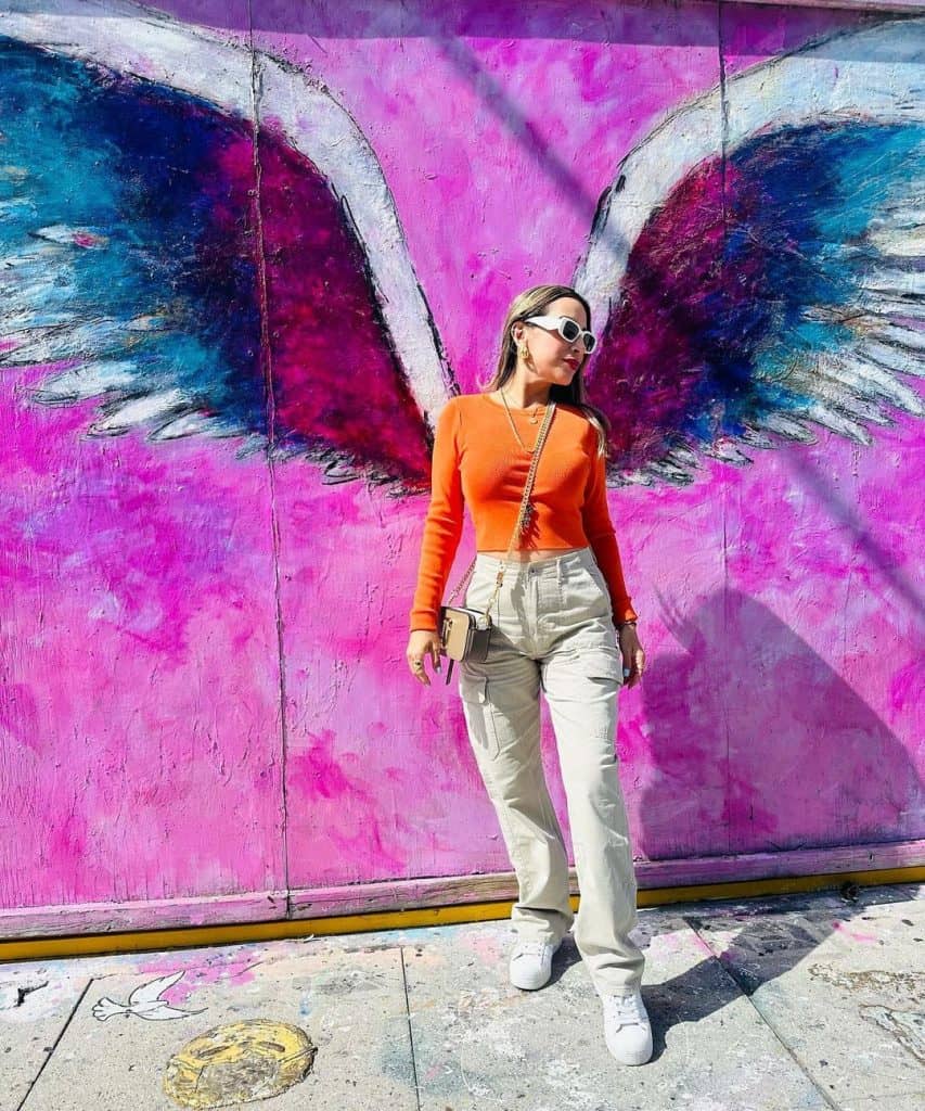 Pink wings